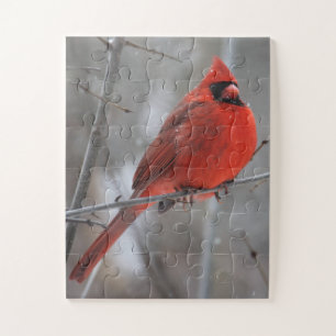 Chunky Bright Red Male Cardinal in Winter Snow Jigsaw Puzzle
