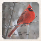 Chunky Bright Red Male Cardinal in Winter Snow