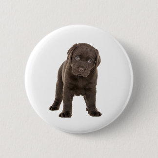 Chunky Chocolate Labrador Puppy 6 Cm Round Badge