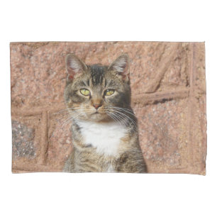 Church Cat  Pillowcase
