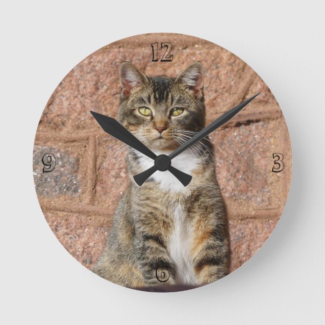 Church Cat  Round Clock (Front)