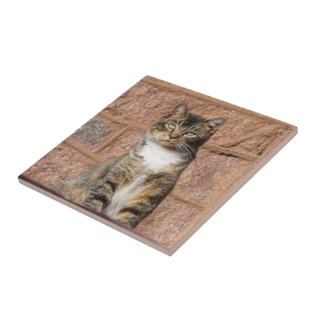 Church Cat Tile (Side)