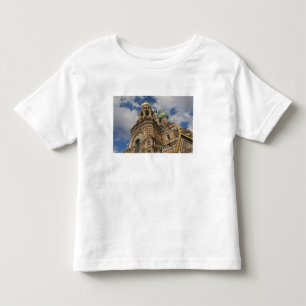 Church of the Saviour of Spilled Blood 4 Toddler T-Shirt