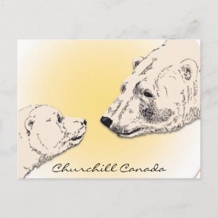 Churchill Canada Postcard Polar Bear Art Cards