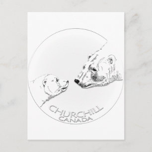 Churchill Souvenirs Polar Bear Art Shirts & Gifts Postcard