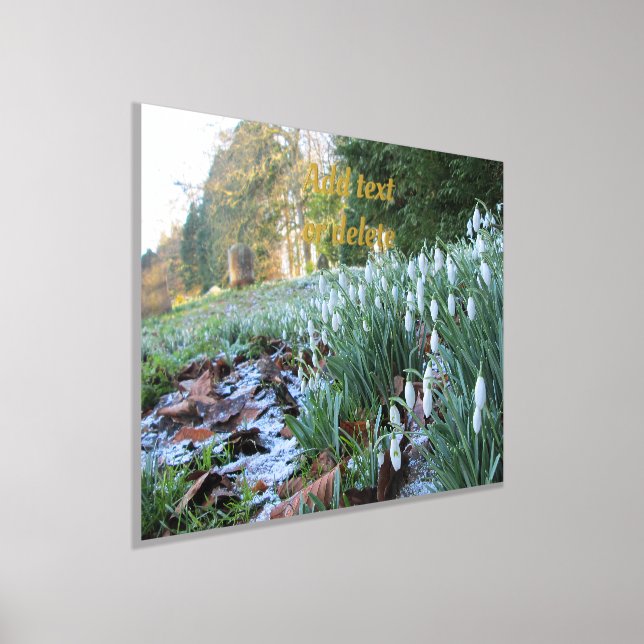 Churchyard Snowdrops in Light Snow - Foil Prints (Laydown)