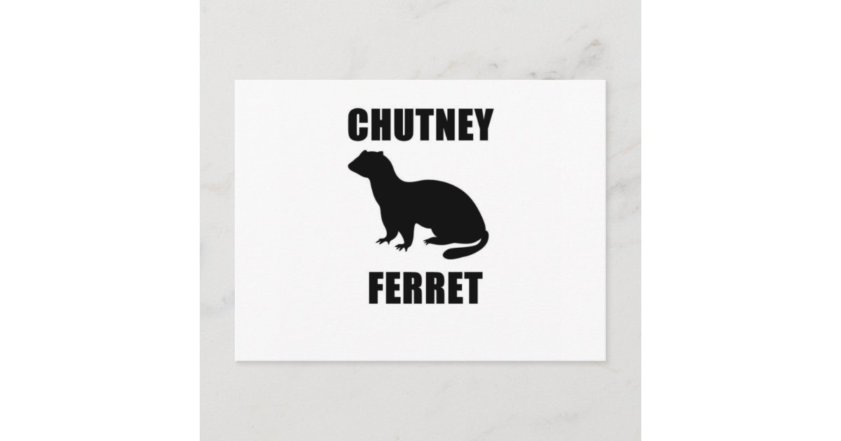 Chutney Ferret Postcard Zazzle