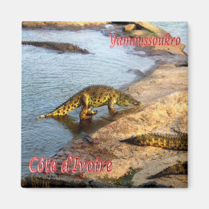 CI - Ivory Coast - Yamoussoukro - Marchant Crocodi Magnet