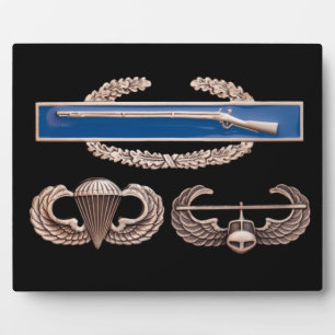 CIB Airborne Air Assault Plaque