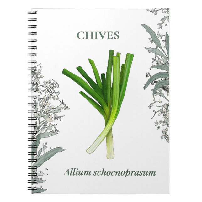 Ciboulette — Allium schoenoprasum Notebook (Front)