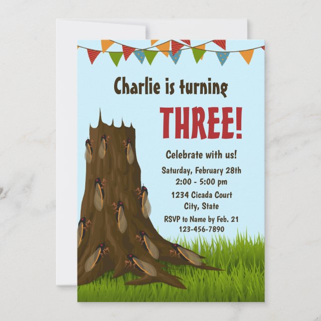 Cicada Birthday Invitation (Front)