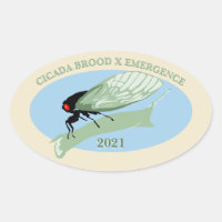 Cicada Brood X Emergence 2021