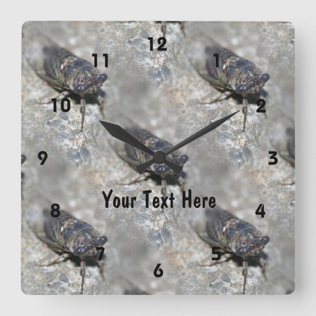 Cicada Bug Face Nature Pattern Personalised Square Wall Clock (Front)