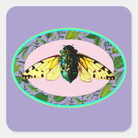 Cicada Bugs Insect Summer Tour Emergence Camping