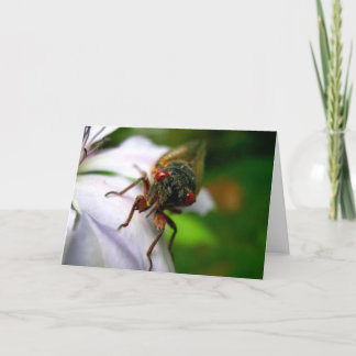 Cicada Card