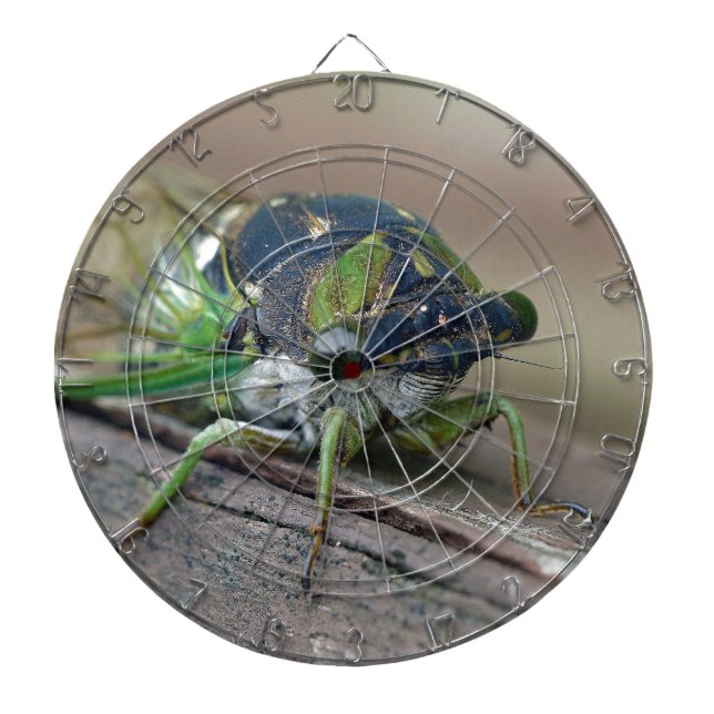Cicada Dartboard (Front)