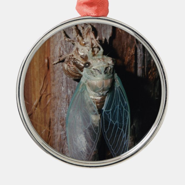 Cicada dries his wings metal tree decoration (Front)