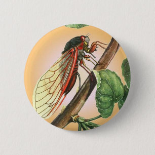 Cicada Insect Illustration Art 6 Cm Round Badge