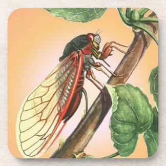 Cicada Insect Illustration Art Coaster