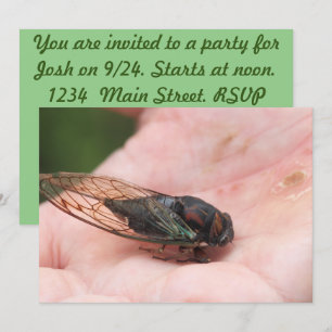 Cicada Invitation