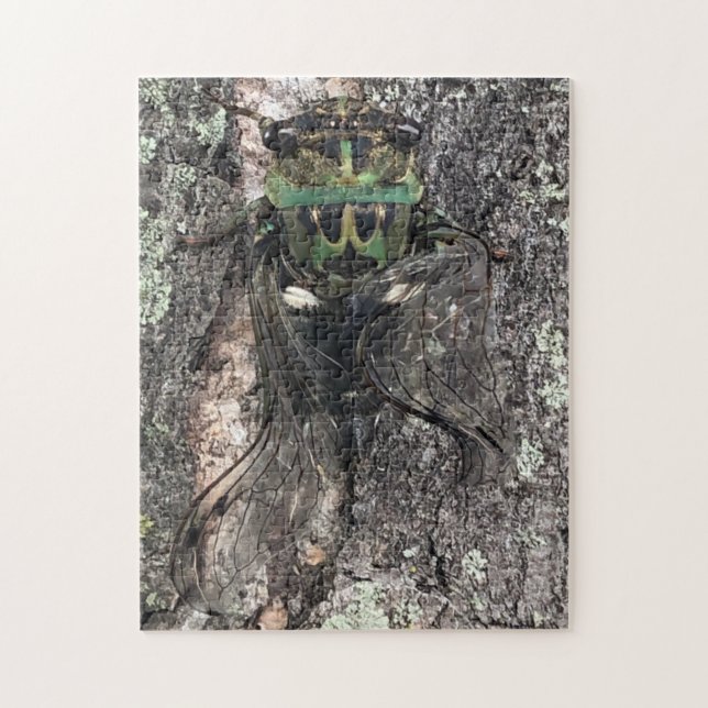 Cicada Jigsaw Puzzle (Vertical)
