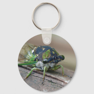 Cicada Key Ring