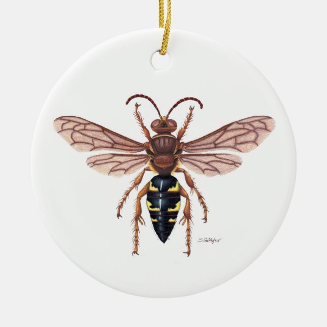 Cicada killer ornament (Front)