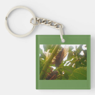 Cicada Locust Key Ring