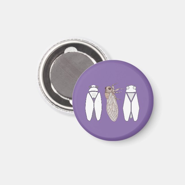 Cicada magnets from Provence, lavender color (Front/Back)