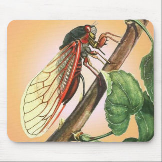 Cicada Mouse Mat