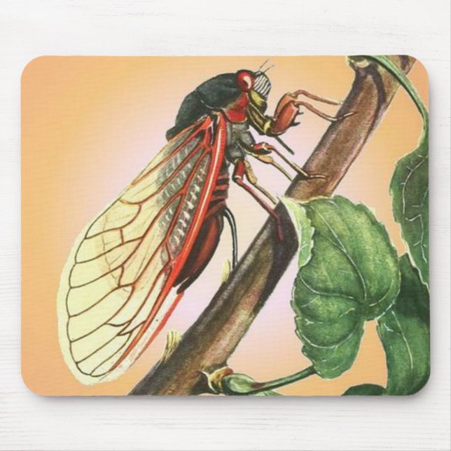Cicada Mouse Mat (Front)