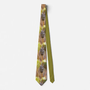 Cicada on stem neck tie