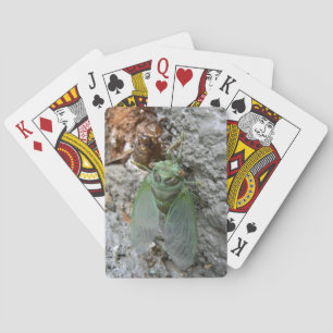 Cicada on the Wall Playing Cards