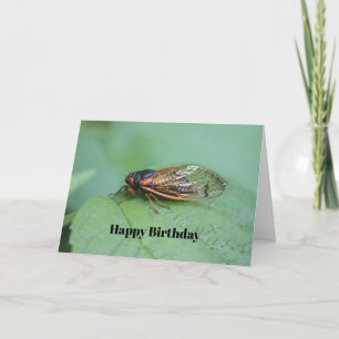 Cicada Photo Birthday Card