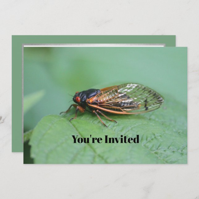 Cicada Photo Birthday Invitation (Front/Back)