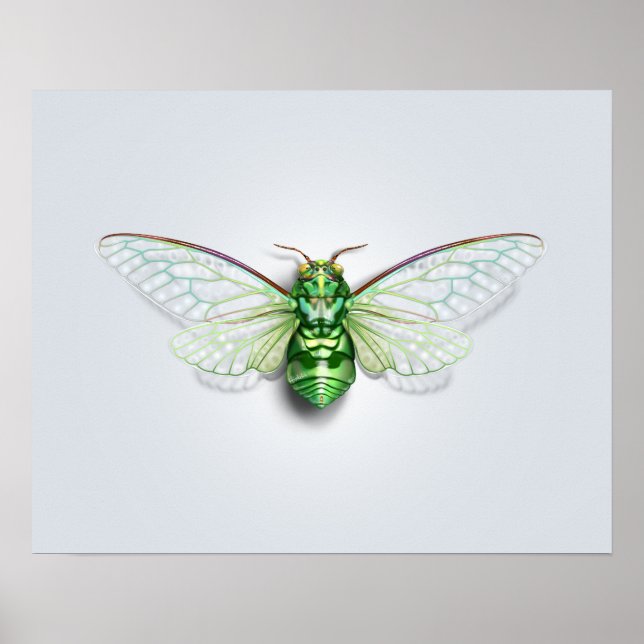 Cicada Poster (Front)