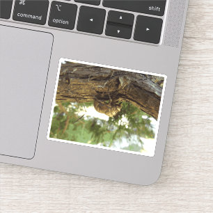 Cicada shell. It was in a hurry.