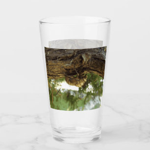 Cicada shell. It was in a hurry. Glass