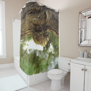 Cicada shell. It was in a hurry. Shower Curtain