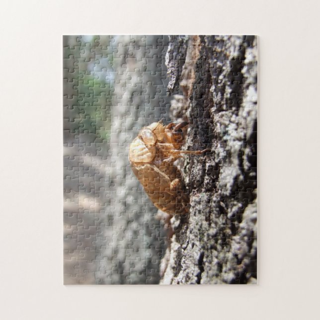 Cicada Shell Puzzle (Vertical)