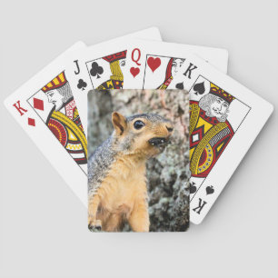 Cicada snacker playing cards