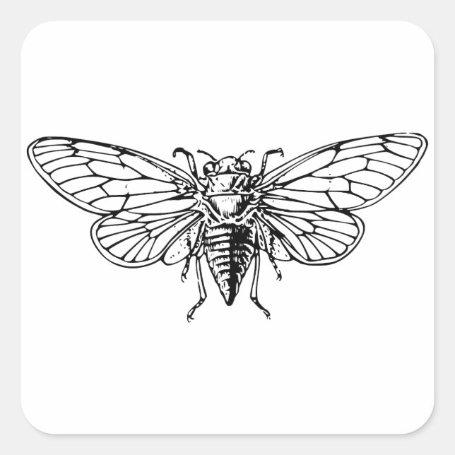 Cicada Square Sticker (Front)