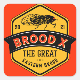 Cicadas Brood X the Great Eastern Brood Square Sticker