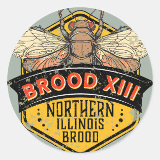Cicadas Brood XIII Northern Illinois Brood Classic Round Sticker
