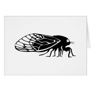Cicadas - Cigales - Magicicadas - Summer Buzz