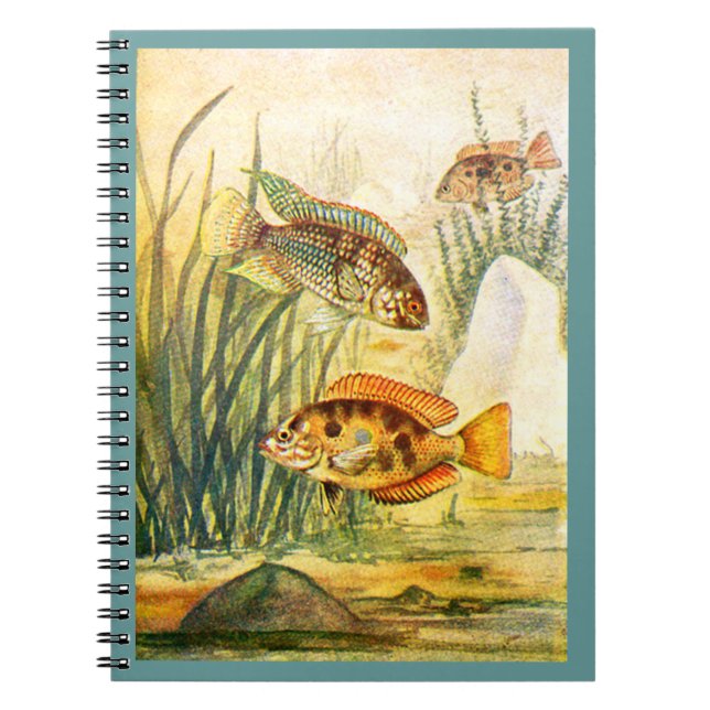Cichlid Fish Notebook (Front)