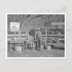 Cider and Apple Stand Postcard