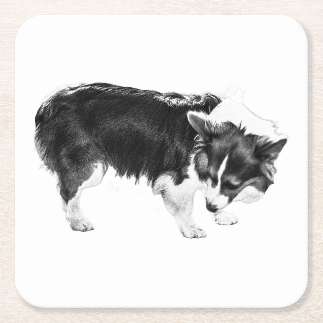 Cider Step Pause Square Paper Coaster (Front)