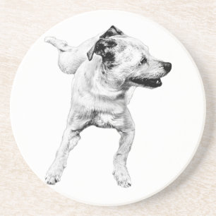 Cider Table, Cheerful Pivot Coaster