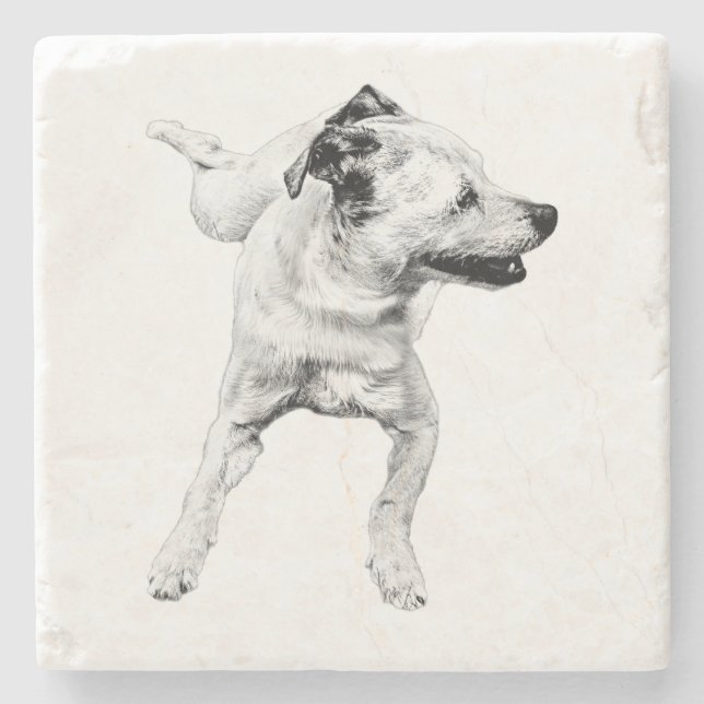 Cider Table, Cheerful Pivot Stone Coaster (Front)